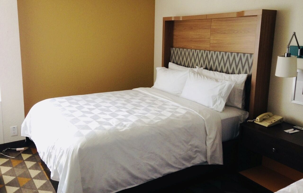 Holiday Inn & Suites Pittsfield-Berkshires By Ihg Dış mekan fotoğraf